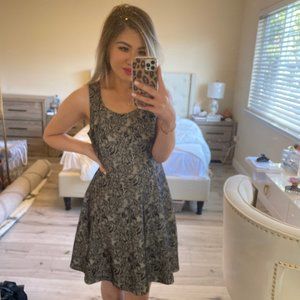 Express Black & Beige Lace Skater Dress